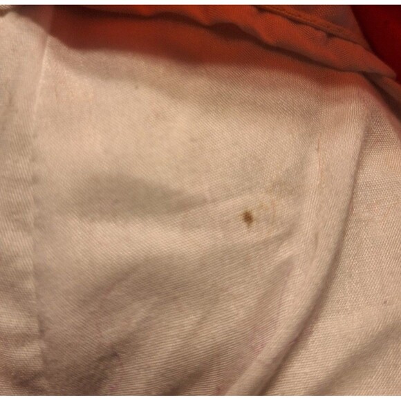 2002 Strawberry Shortcake Cloth Doll Those Characters from Cleveland - Picture 7 of 7